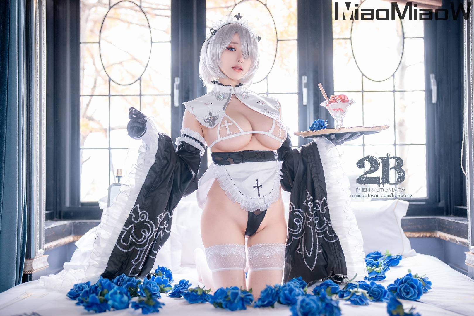 Hane Ame 雨波写真 – Nier 2B Maid [36P-113MB]